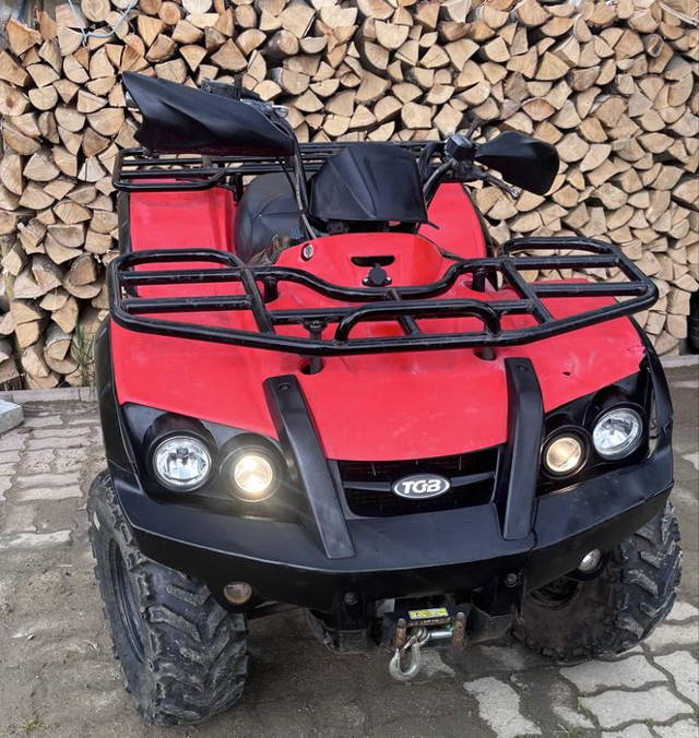 Quad TGB 325 LE Blade
