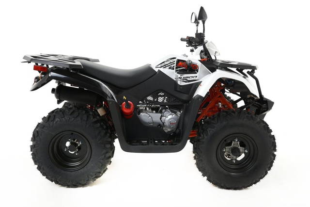 Quad ATV KAYO AY70 UA125 AU150 AU200 AU300 T3b Transport Raty Serwis
