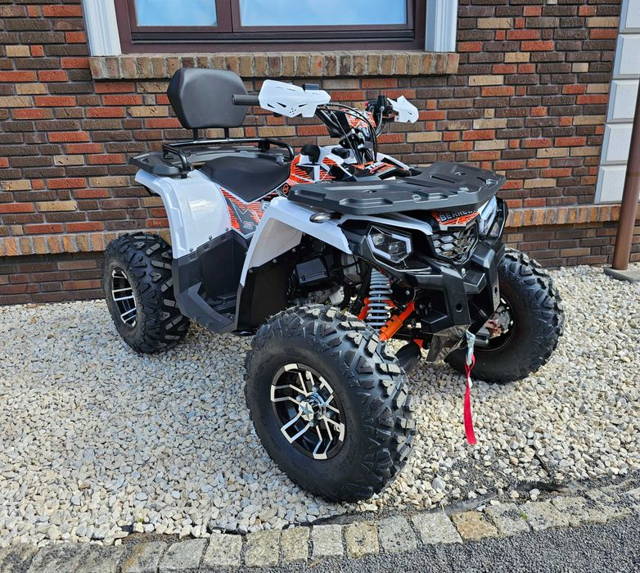Quad EGL 250 berreta 200 wyciągarka hak alusy