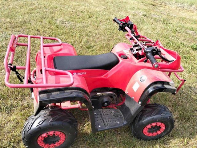 Quad  125 T-rex huumer