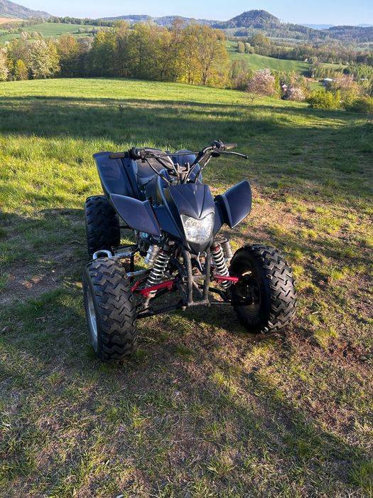 Bashan 200 eagle