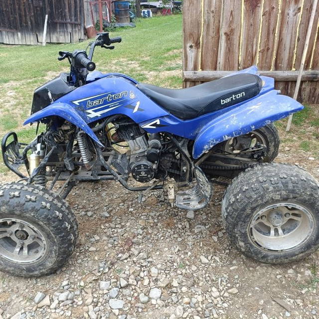 Quad Barton/Bashan 250