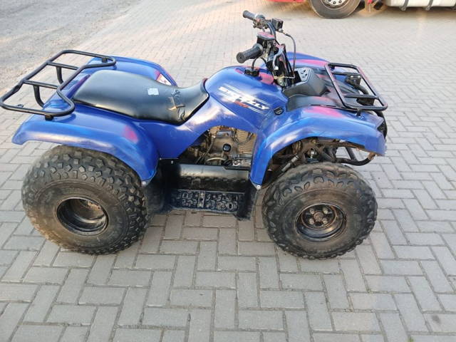 Quad Yamaha Gryzzly