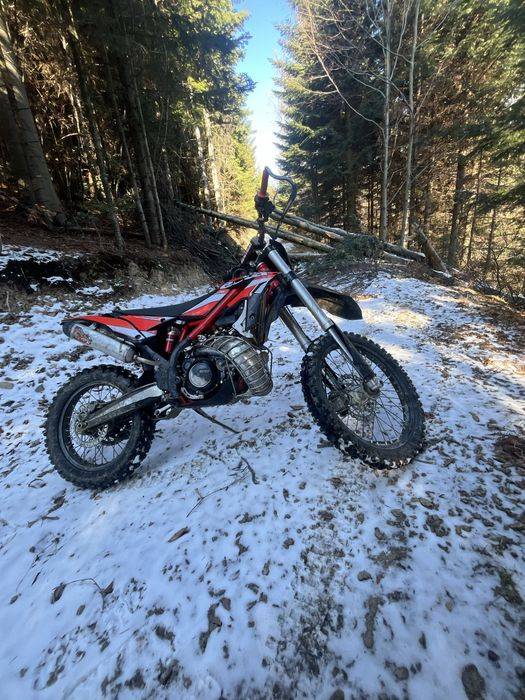 Beta 300 Xtrainer pewna sztuka