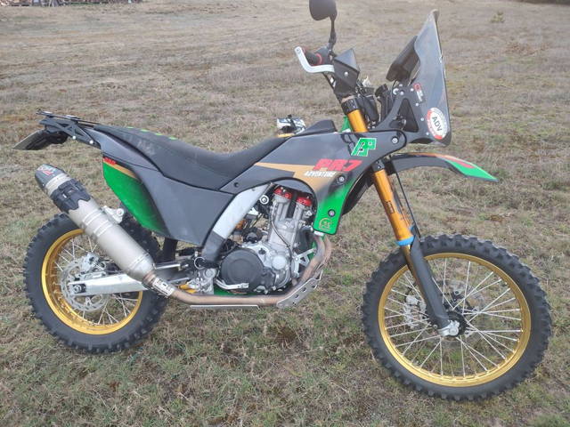 AJP PR 7 Gold Edyszyn