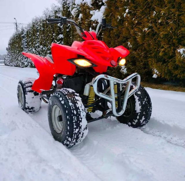 Quad  Raptor 150