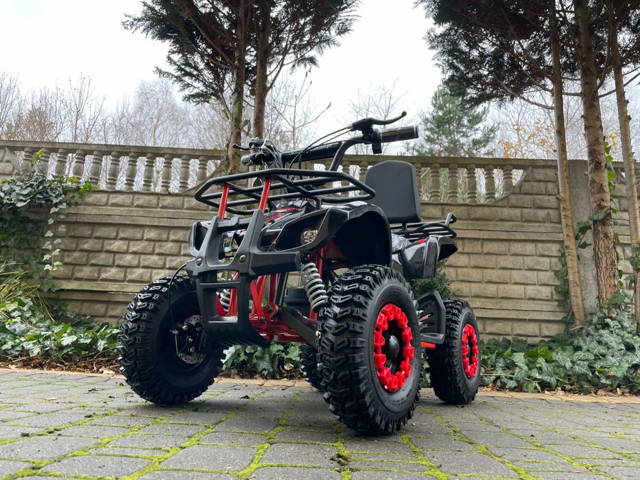 MINI QUAD 50cc DLA DZIECI Pelikan Torino | Regulacja prędkości Oparcie