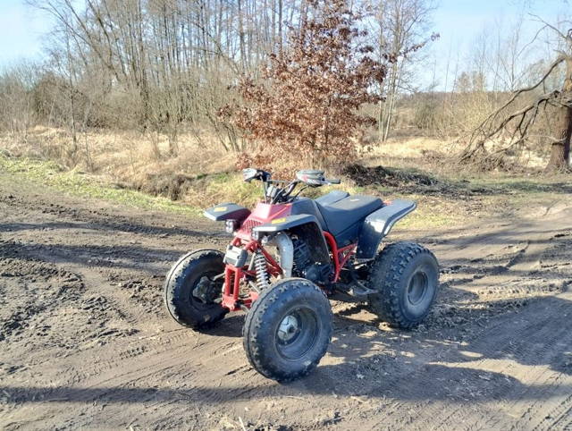 Yamaha blaster 200