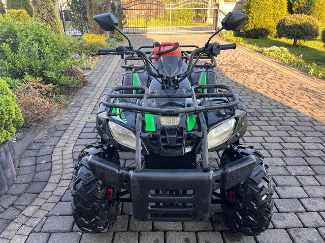 Quad Alfarad Lion