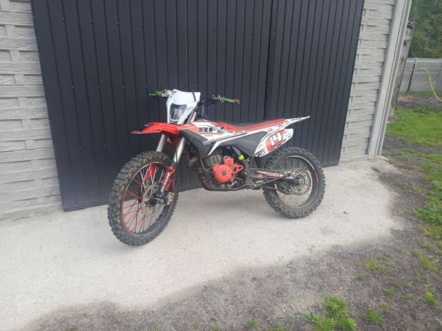 Apollo Lizard RFZ 300