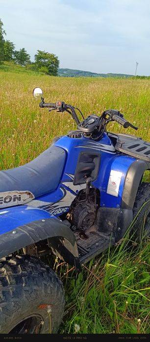 Quad aeon cobra 180