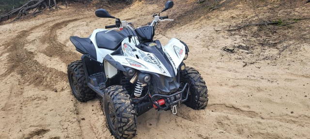 Quad TBG target 550 4x4 2015