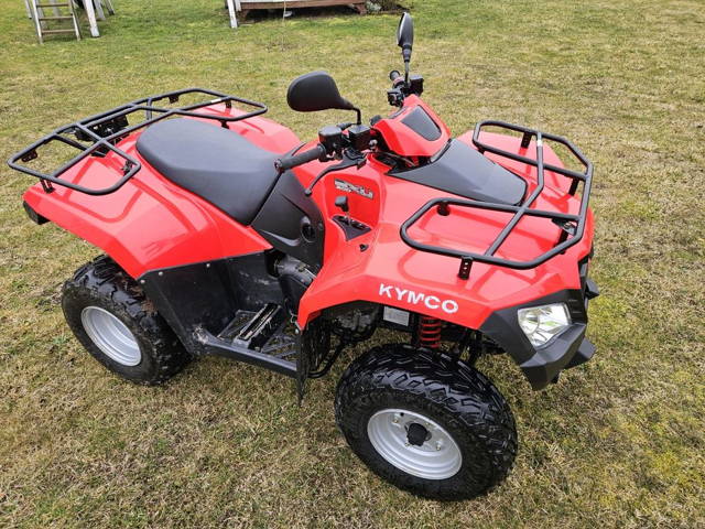 Quad Kmyco MXU 300