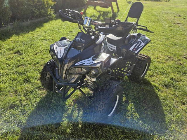 Quad Tao Tao Varia Pro 125cc