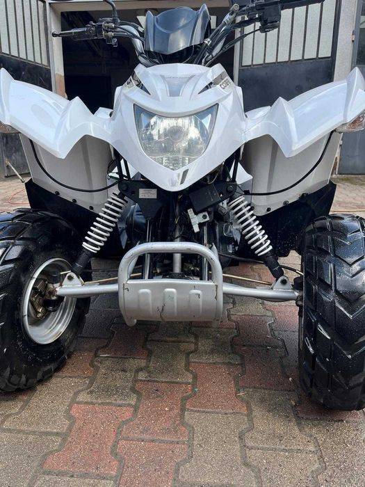 Quad Aeon Cobra 50 cm 2018r