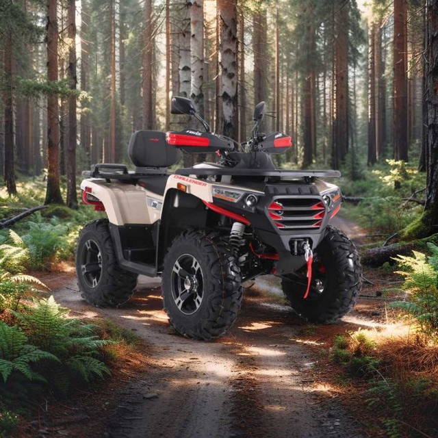 QUAD 300 ASIX Challenger Homologacja drogowa T3B raty dostawa