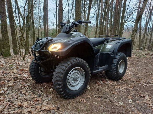 Quad Suzuki Ozark Quadrunner 250, 2018r.