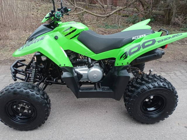 Access 300 cc  2020 r Triton Rejestracja Limitowana Edycja raptor ltz