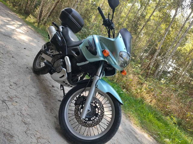 Suzuki XF 650 Freewind