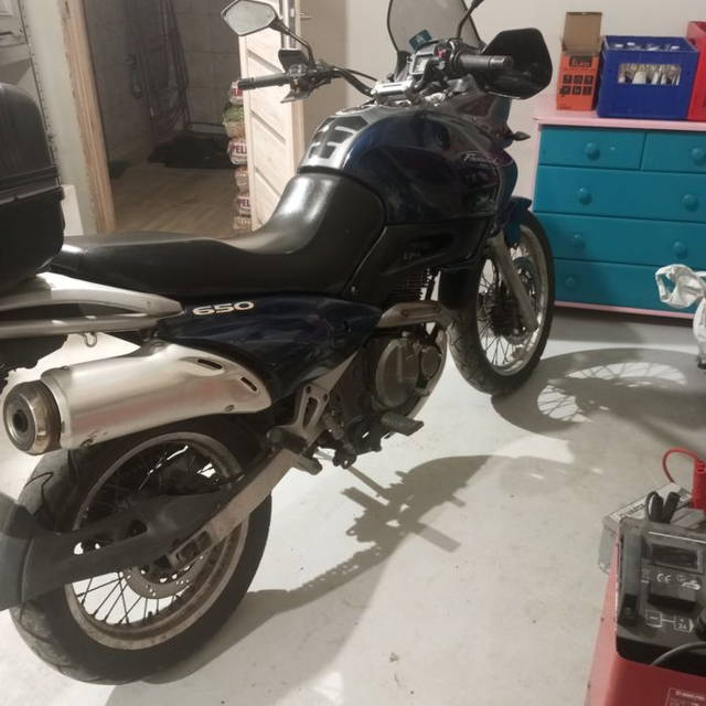 Suzuki XF 650 Freewind