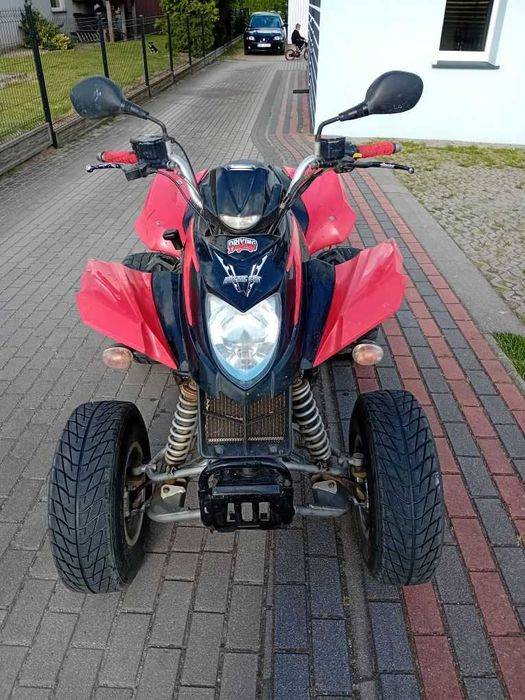Quad Arctic Cat 250