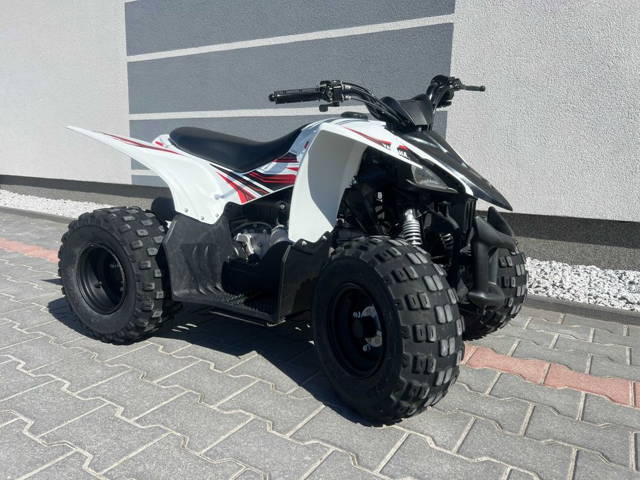 Yamaha Raptor 50cc