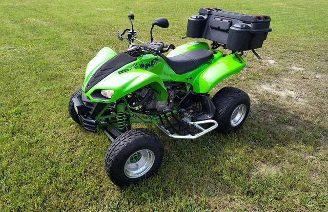 Kawasaki kfx 700