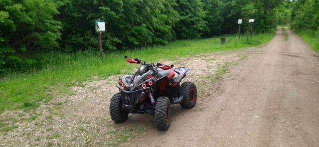 Can-Am renegade 1000r