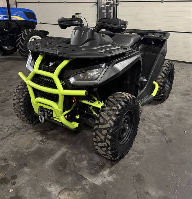 Quad Segway Snaler AT6