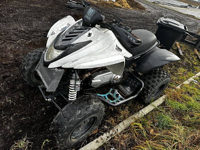 Quad ATV Dinli 300cc