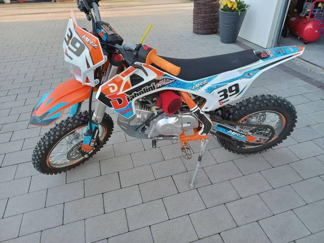 Cross diabolini 125