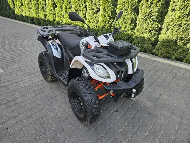 Quad Kayo 200cc Homologacja T3B