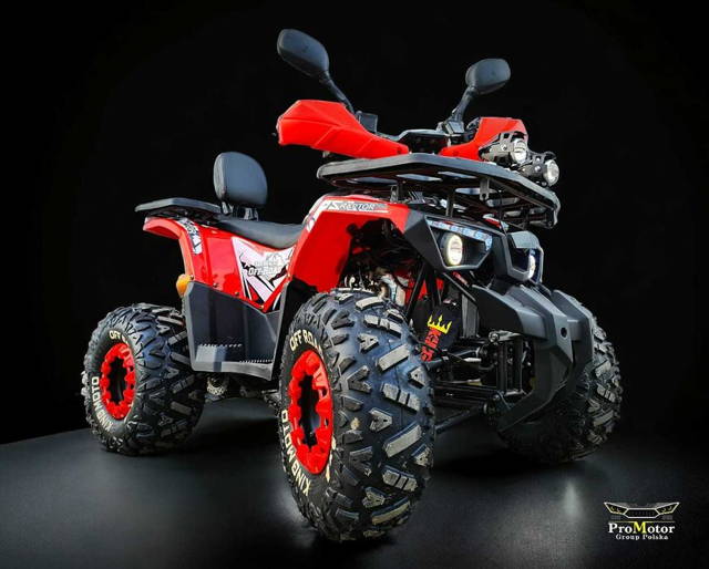 //quad //XTR //Raptor 125 //GERMANY //WYPRZEDAŻ //ProMotor