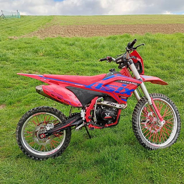 Asix 250 lizzard 2024.06r