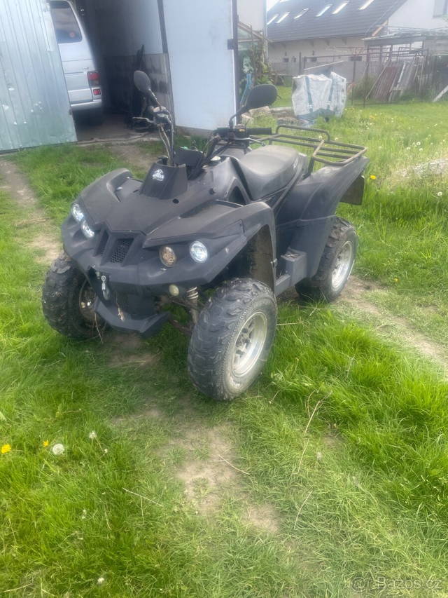 Access Max 300