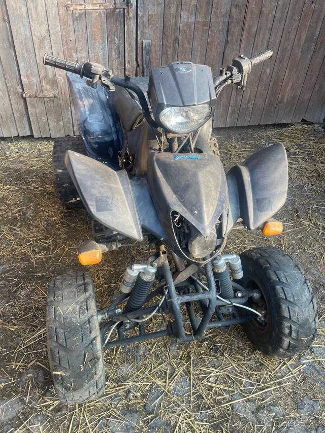 Bashan 250