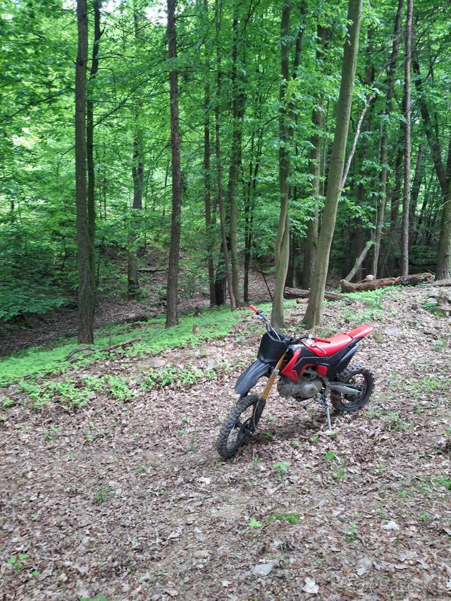 Pitbike wpb 140