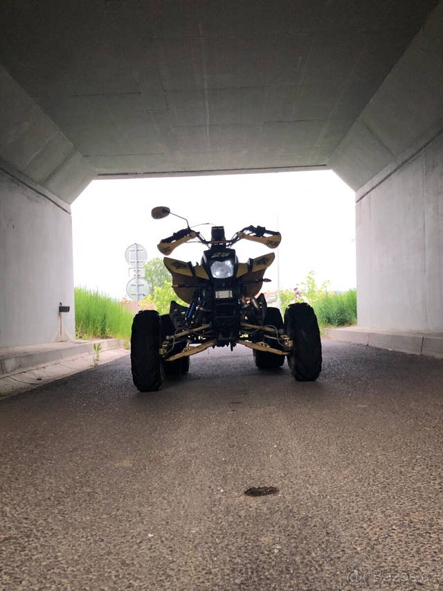 Bashan 250