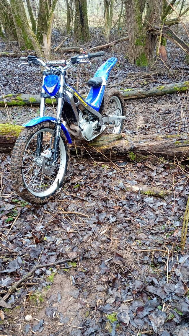 Sherco 300