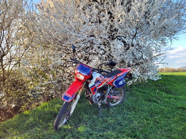 RIEJU RR 50