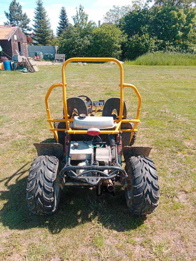Buggy