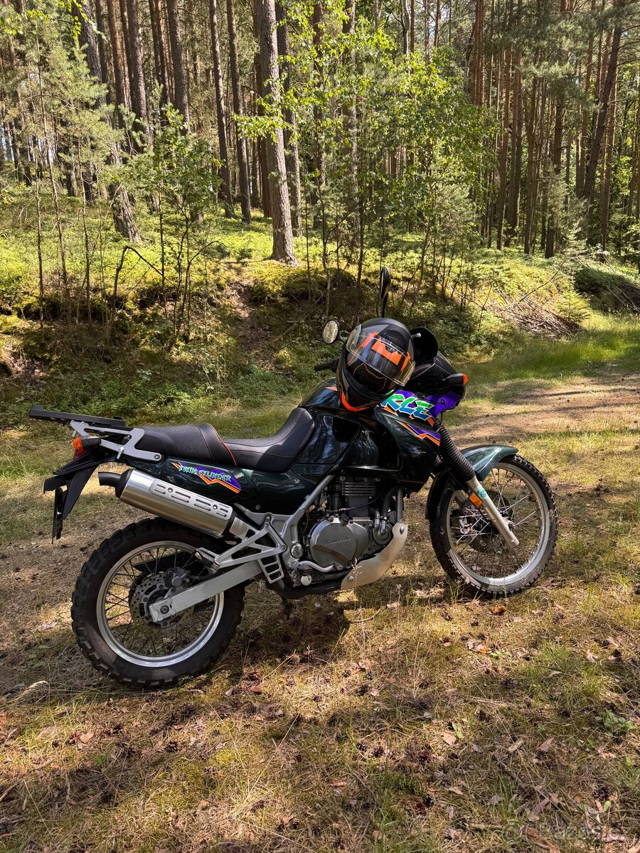 Kawasaki kle 500