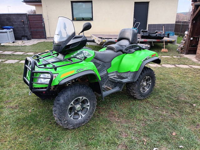 Arctic cat