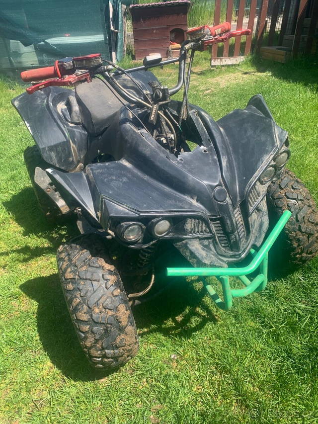 Atv 125 cc warrior