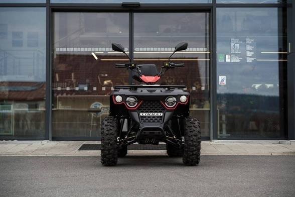 LINHAI M210 2X4 EFI T3B