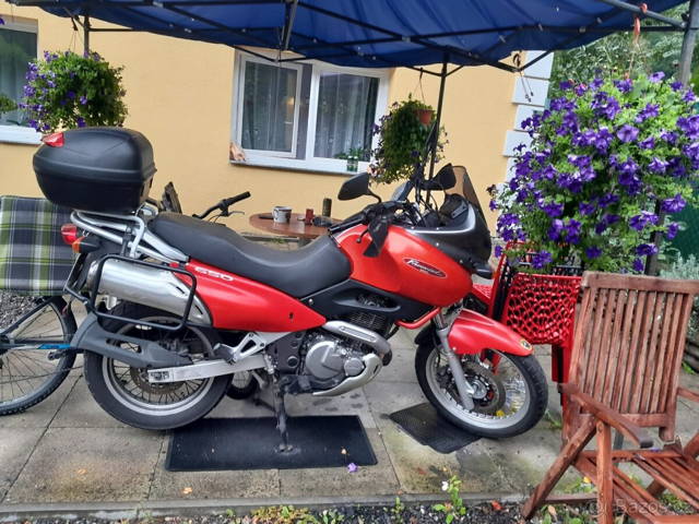 Suzuki XF650 freewind