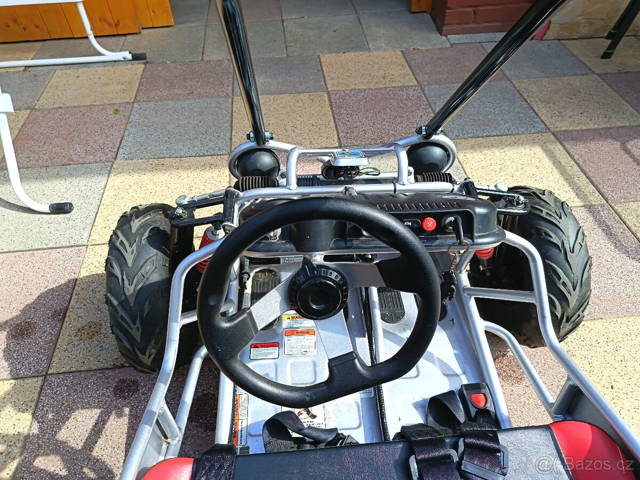 Buggy shark