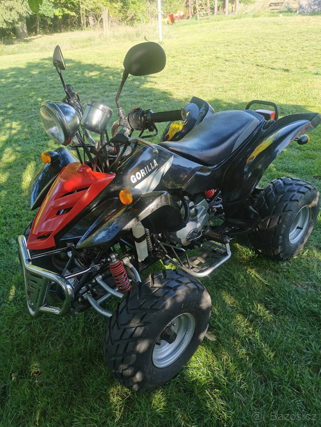 Bashan 200