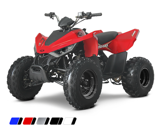 dětská čtyřkolka Linhai ATV 110 2x4
