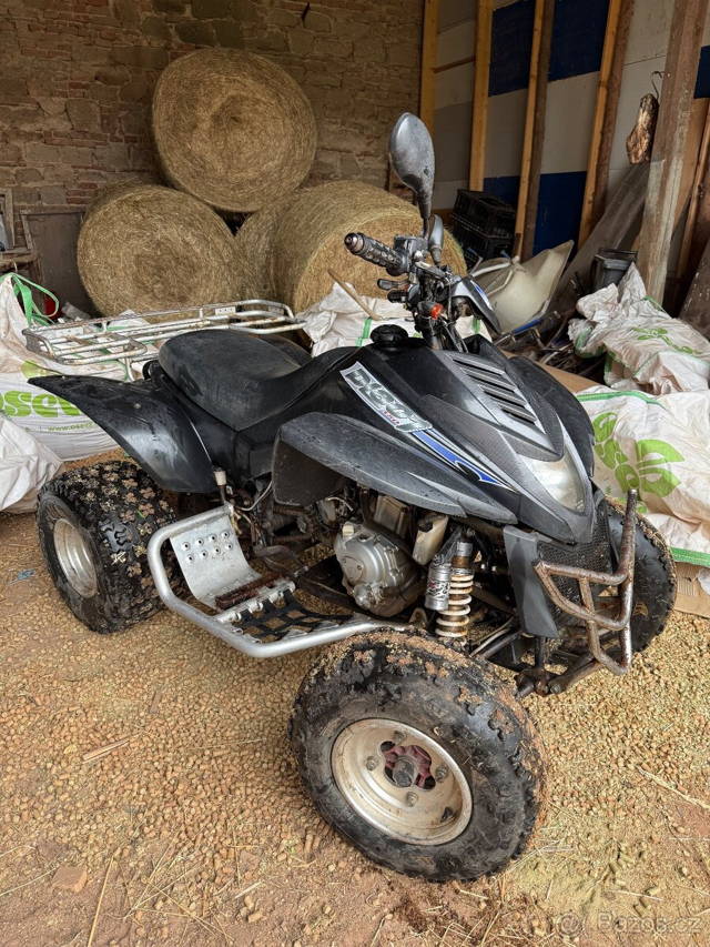 Dinli 300ccm